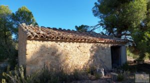 Finca en Mazaleón, comarca del Matarraña. para vender