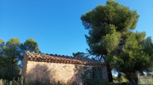 Foto de Finca en Mazaleón, comarca del Matarraña. en venta