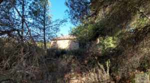 Foto de Finca en Mazaleón, comarca del Matarraña. en venta