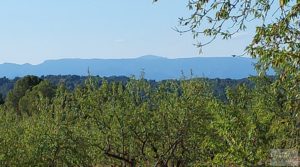 Finca en Mazaleón, comarca del Matarraña. para vender