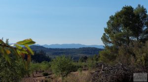 Vendemos Finca en Mazaleón, comarca del Matarraña. por 44.000€