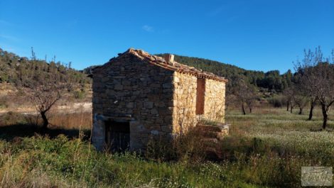 Finca de regadío en Valderrobres, en la comarca del Matarraña.